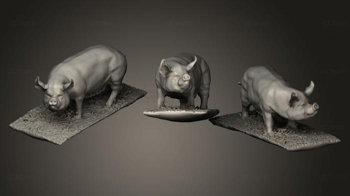 3D model Some Pig (STL)